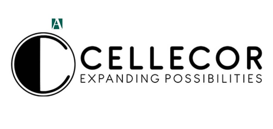 You are currently viewing Cellecor Appoints Industry Veteran to Drive Africa Growth